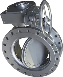 Triple Offset Type