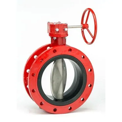 Double Flanged Type
