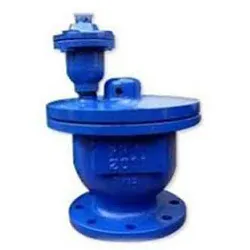 Tamper Proof Security Valve
