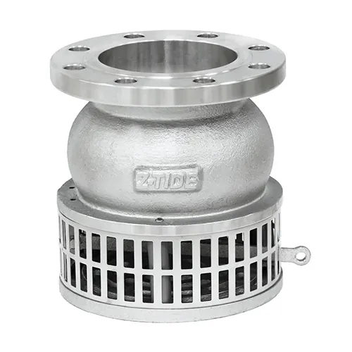 Standard Foot Valve
